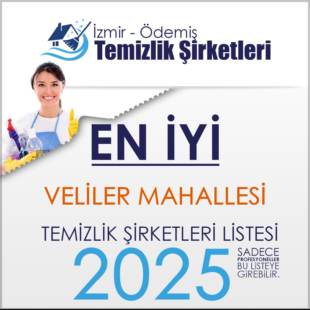Ödemiş Veliler Mahallesi En İyi Temizlik Şirketi